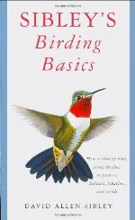 Sibley's Birding Basics