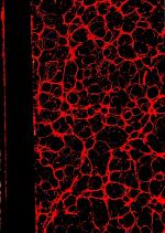 Die Komposition von Vergils Georgica: mit 4 Beilagen (Studien zur Geschichte und Kultur des Altertums - Band 16.2-3)  issue 2 + 3