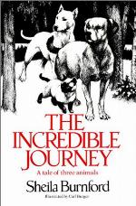 The Incredible Journey