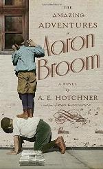 The Amazing Adventures of Aaron Broom: A Novel