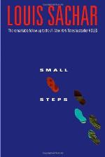Small Steps