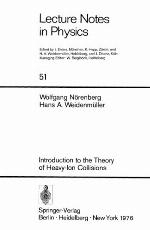 Introduction To The Theory Of Heavy Ion Collisions