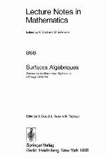 Surfaces Algébriques