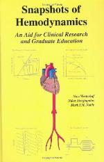 Snapshots of Hemodynamics