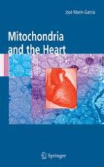 Mitochondria and the Heart