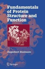 Fundamentals of Protein Structure and Function