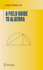 A field guide to algebra