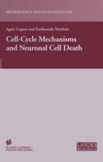 Cellcycle Mechanisms and Neuronal Cell Death