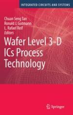 Wafer Level 3D ICS Process Technology