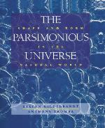 The Parsimonious Universe