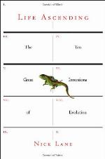 Life Ascending
