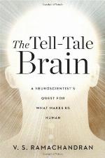The Tell-Tale Brain
