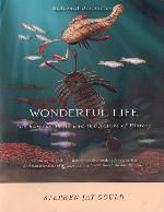 Wonderful Life