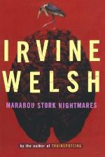 Marabou Stork Nightmares