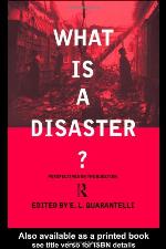 What Is a Disaster?