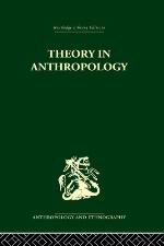 Theory in anthropology