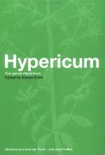 Hypericum