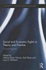 Social and Economic Rights in Theory and Practice