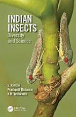 Indian Insects