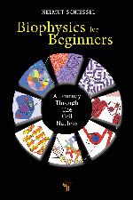 Biophysics for beginners : a journey through the cell nucleus