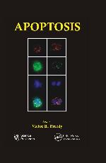 Apoptosis