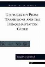 Lectures on Phase Transitions and the Renormalization Group