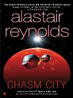 Chasm City