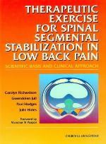 Therapeutic Exercises for Spinal Segmental Stabilization in Low Back Pain: Scientific Basis and Clinical Approach