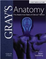 Gray's Anatomy