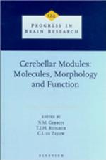 Cerebellar Modules