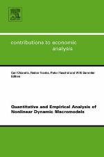 Quantitative and Empirical Analysis of Nonlinear Dynamic Macromodels