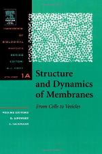 Structure And Dynamics Of Membranes