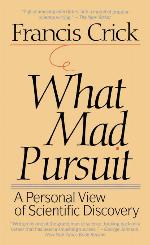 What Mad Pursuit