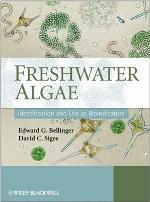 Freshwater Algae