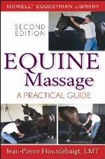 Equine Massage