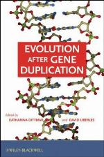 Evolution after Gene Duplication