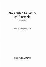 Molecular Genetics of Bacteria