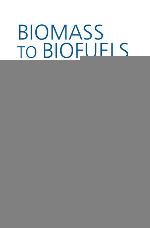 Biomass to biofuels : strategies for global industries