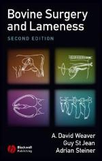 Bovine Surgery and Lameness