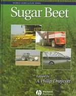 Sugar beet