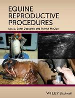 Equine Reproductive Procedures
