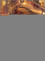 Handbook of alcoholic beverages : technical, analytical and nutritional aspects. 1