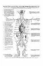 Endothelial dysfunctions and vascular disease