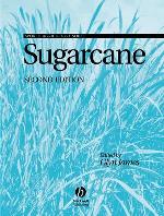 Sugarcane