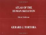 Atlas of the Human Skeleton