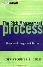 Risk Management Process
