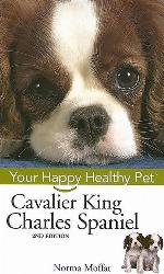 Cavalier King Charles Spaniel