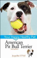 American Pit Bull Terrier