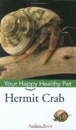 Hermit Crab