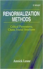 Renormalization Methods